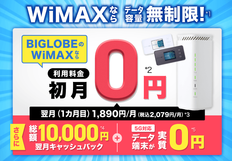 >BIGLOBE WiMAX +5G