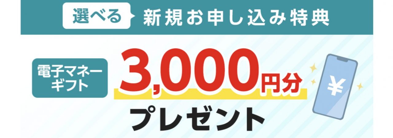 電子マネーギフトプレゼントキャンペーン | 光回線のeo光 [イオ] 公式サイト