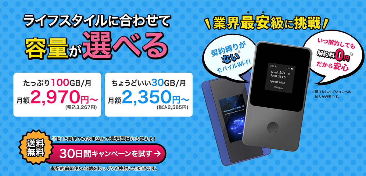 【公式】モバイル・ポケット型WiFi・ルーターが安い それがだいじWi-Fi | 月額2,350円～ 縛りなし契約も可能