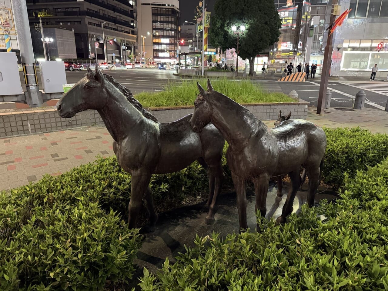 iPhone17 Proで撮影した写真