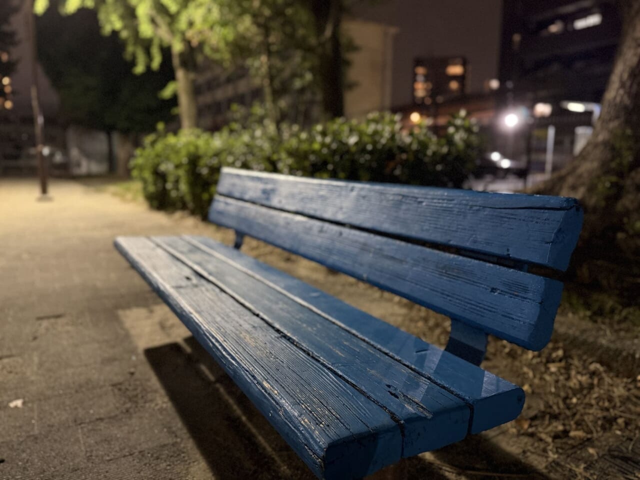 iPhone17 Proで撮影した写真