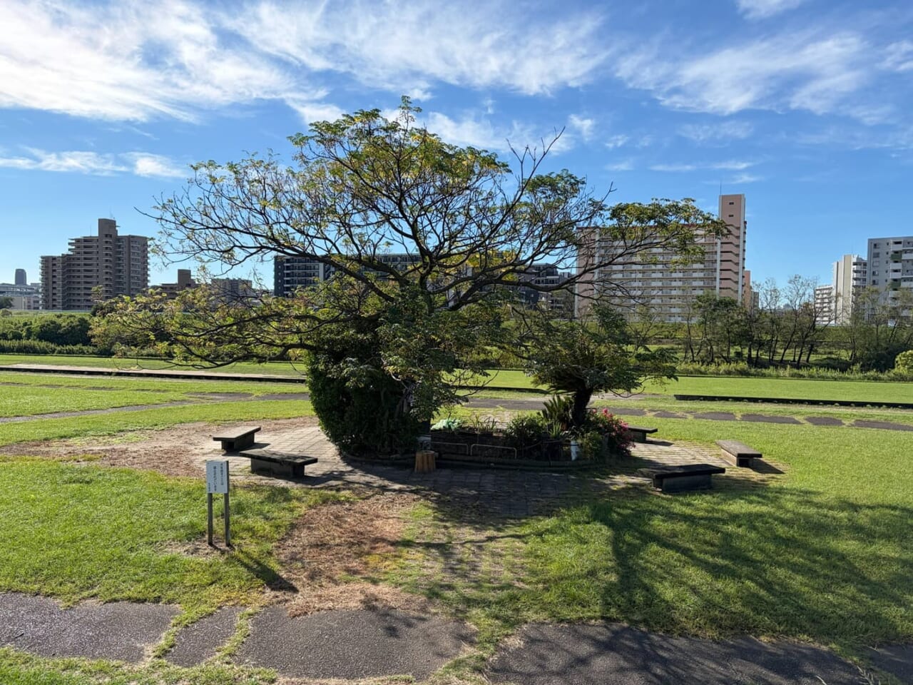 iPhone Airで撮影した写真