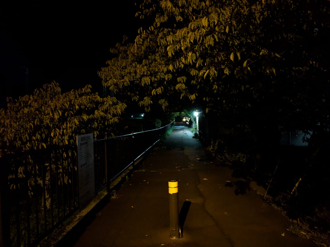 Google Pixel 8aで撮影した夜景写真