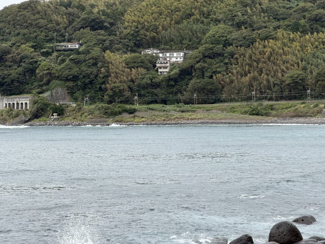 iPhone17 Pro Maxズーム写真