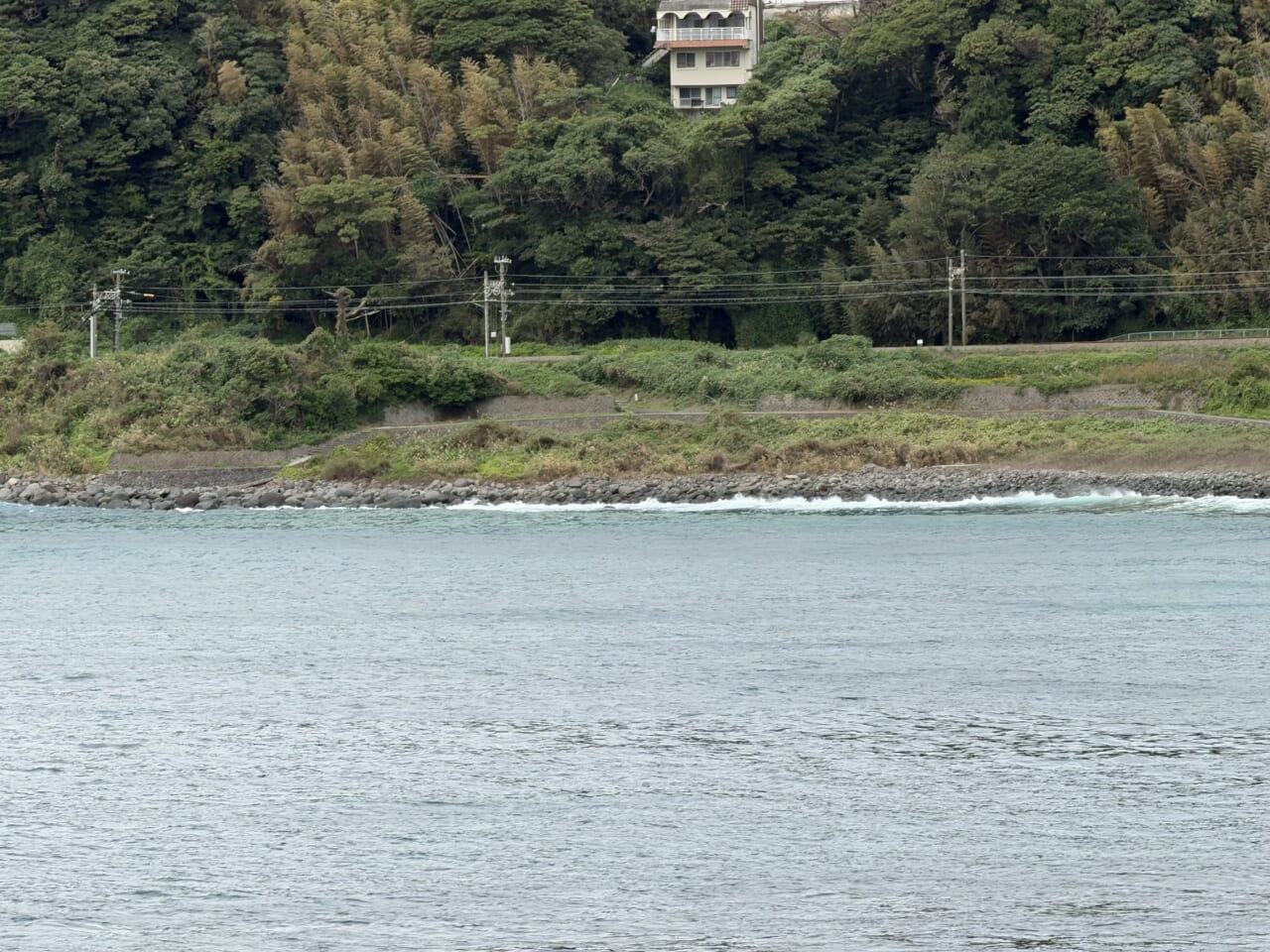 iPhone17 Pro Maxズーム写真