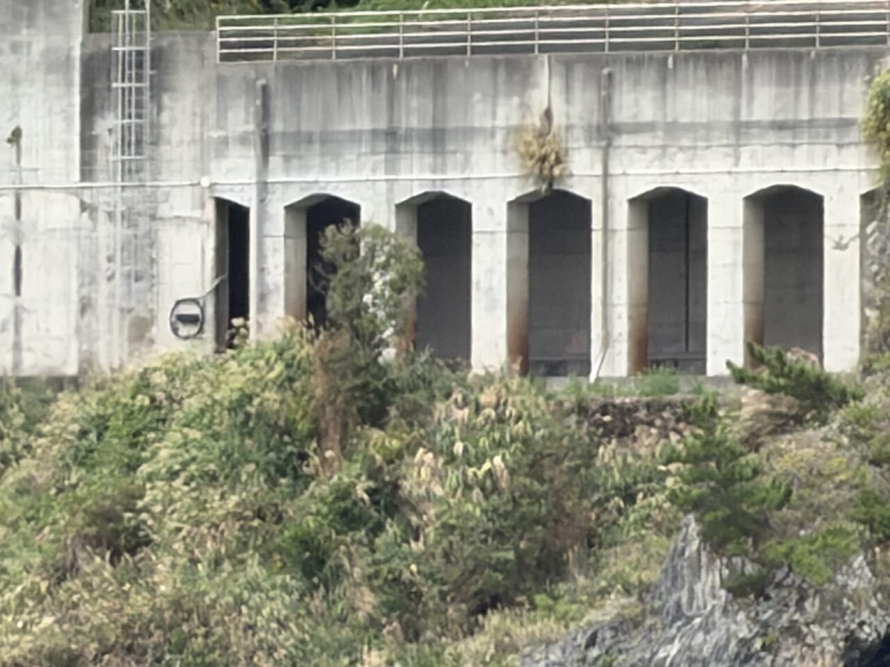 iPhone17 Pro Maxズーム写真