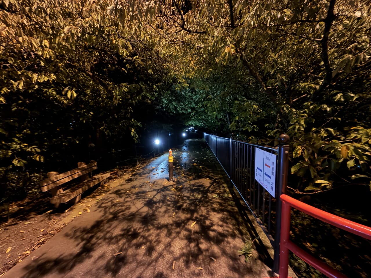 iPhone17 Pro Maxの夜景写真