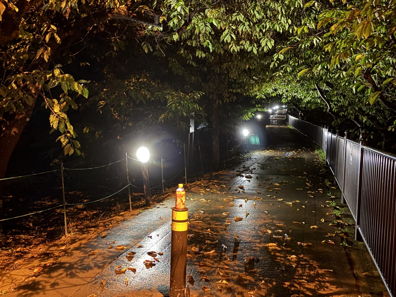 iPhone17 Pro Maxの夜景写真