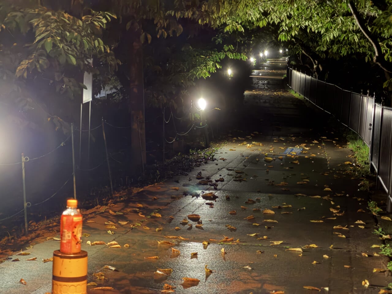 iPhone17 Pro Maxの夜景写真