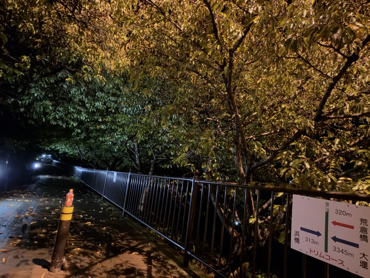 iPhone17 Pro Maxのフロントカメラ写真