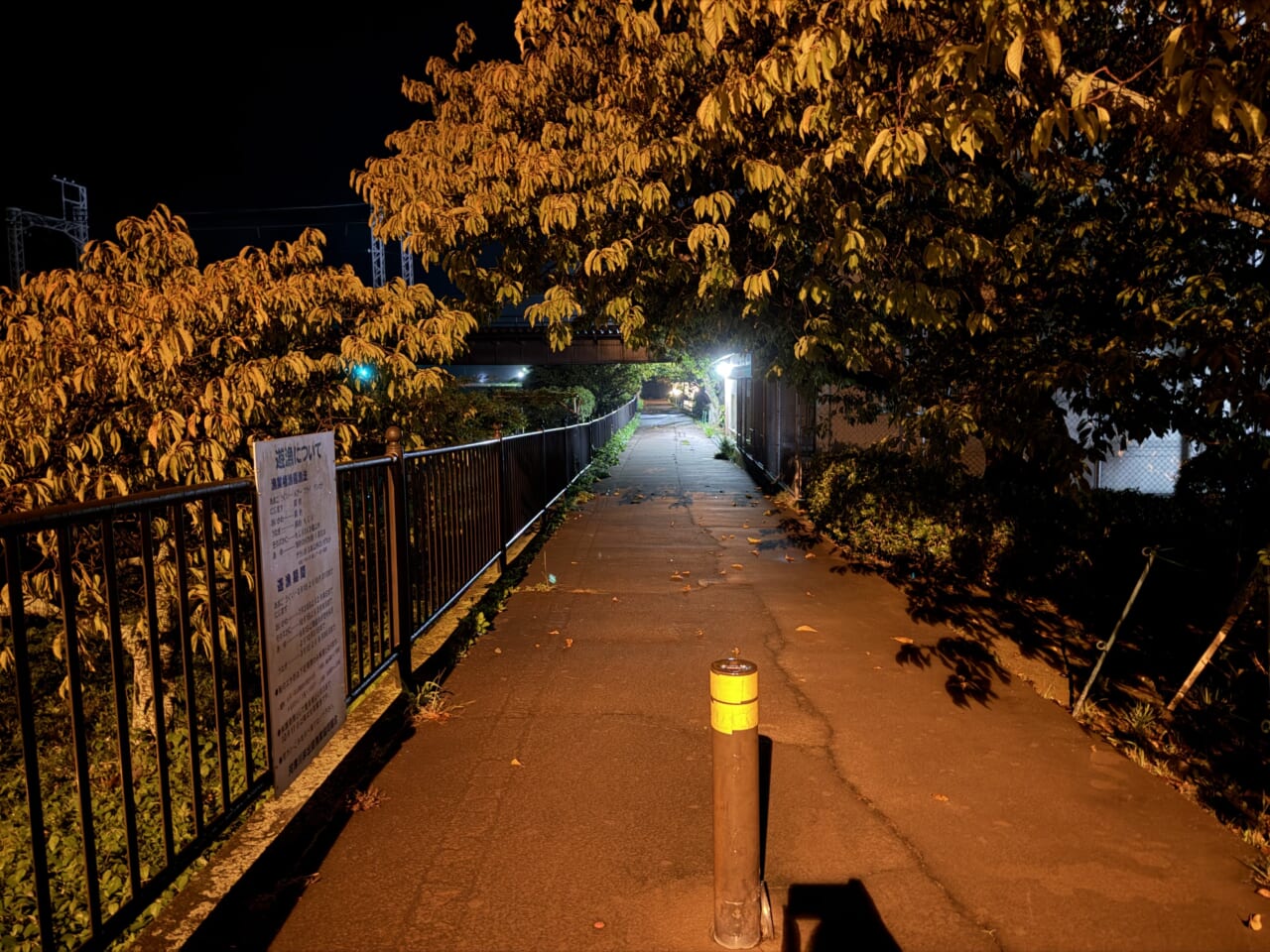 iPhone17 Pro Maxの夜景写真