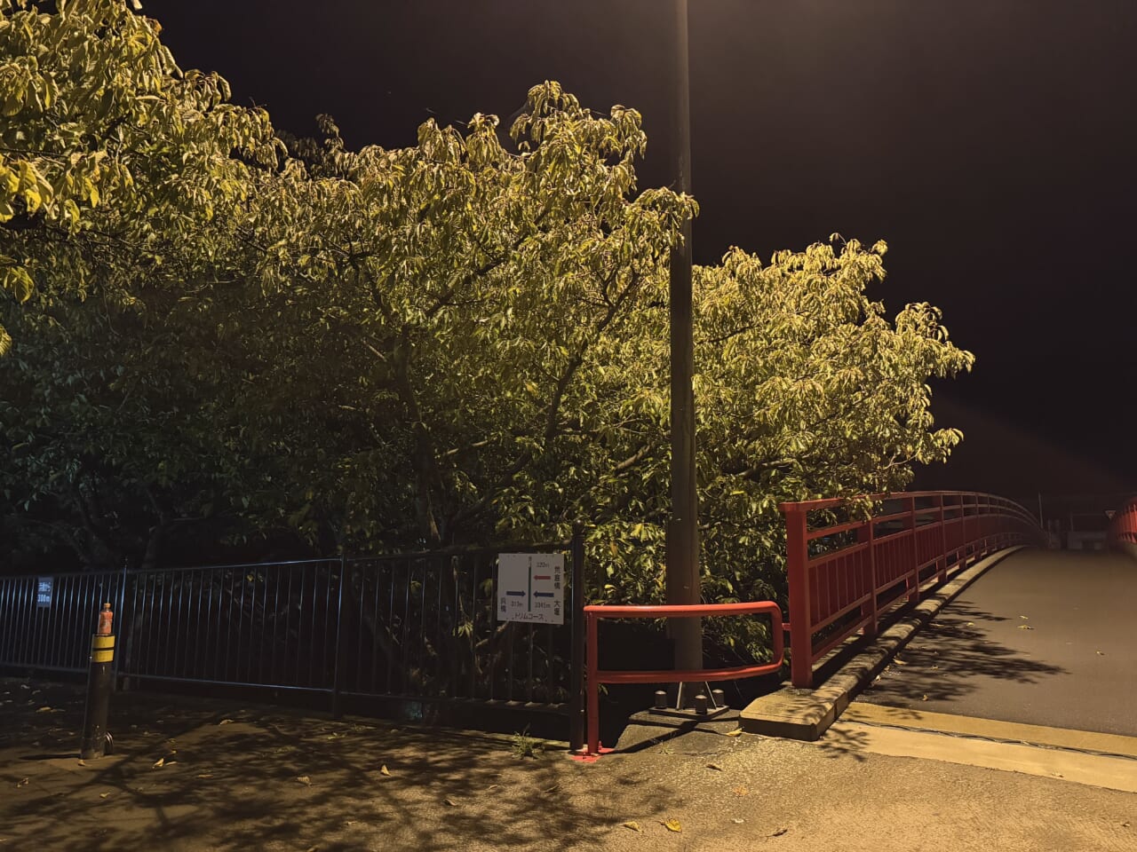 iPhone17 Pro Maxの夜景写真