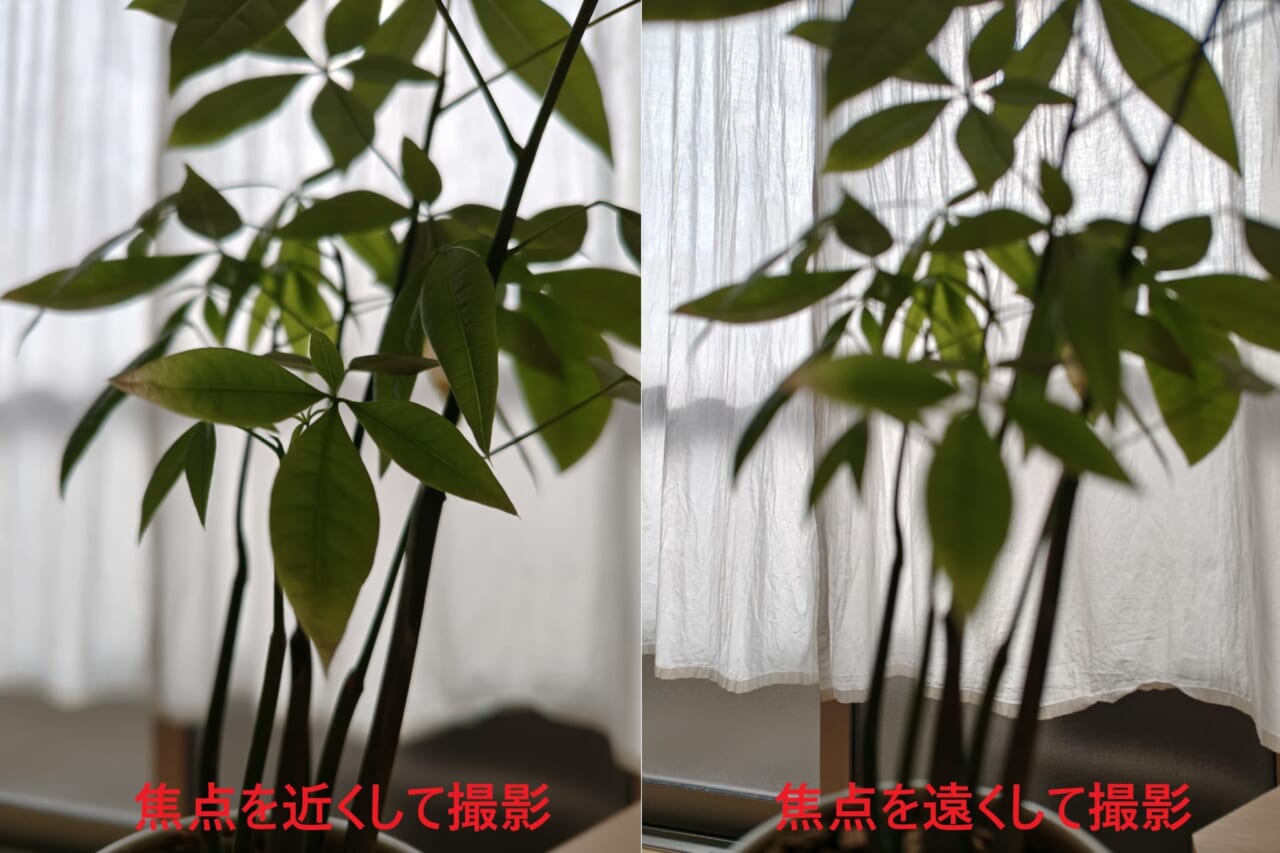 AQUOS R10で撮影した写真