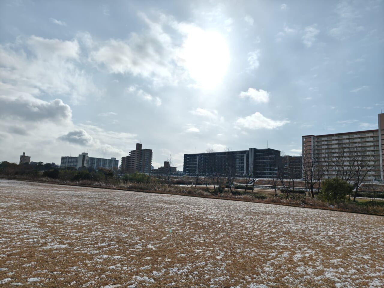 AQUOS R10で撮影した写真