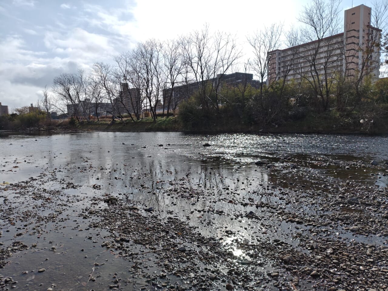 AQUOS R10で撮影した写真