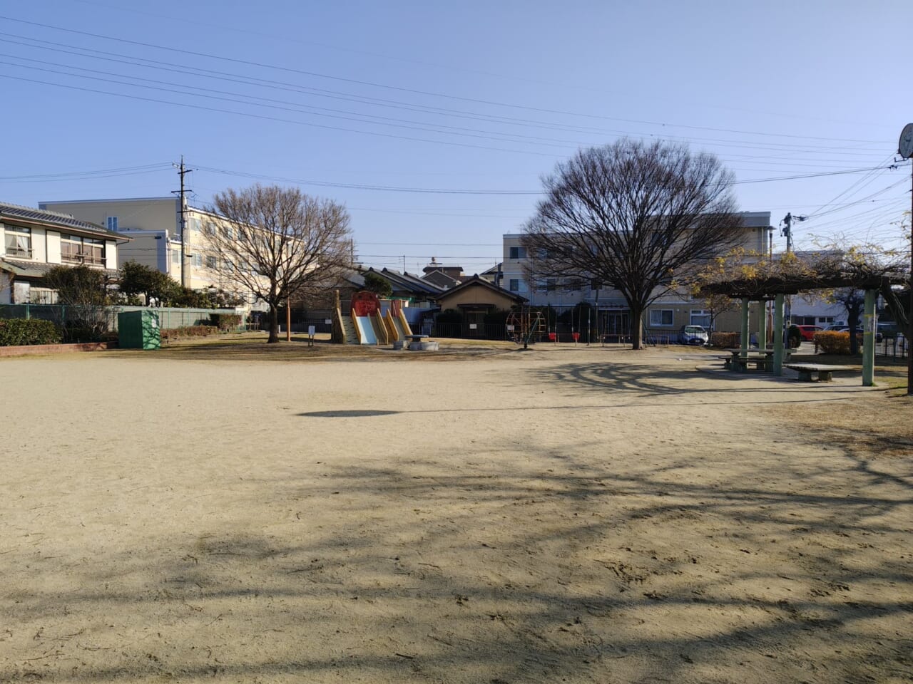 AQUOS sense10で撮影した写真