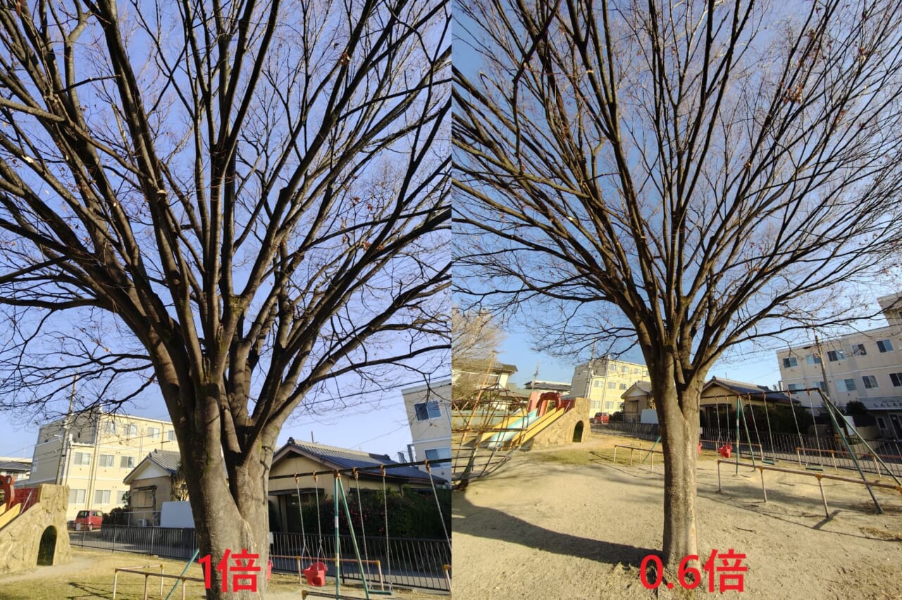 AQUOS sense10で撮影した写真