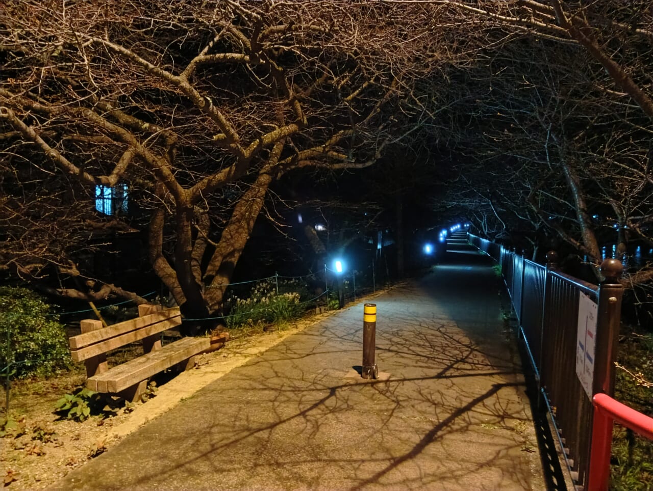 AQUOS wish5で撮影