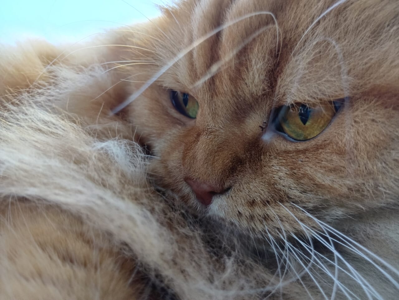 AQUOS wish5で撮影