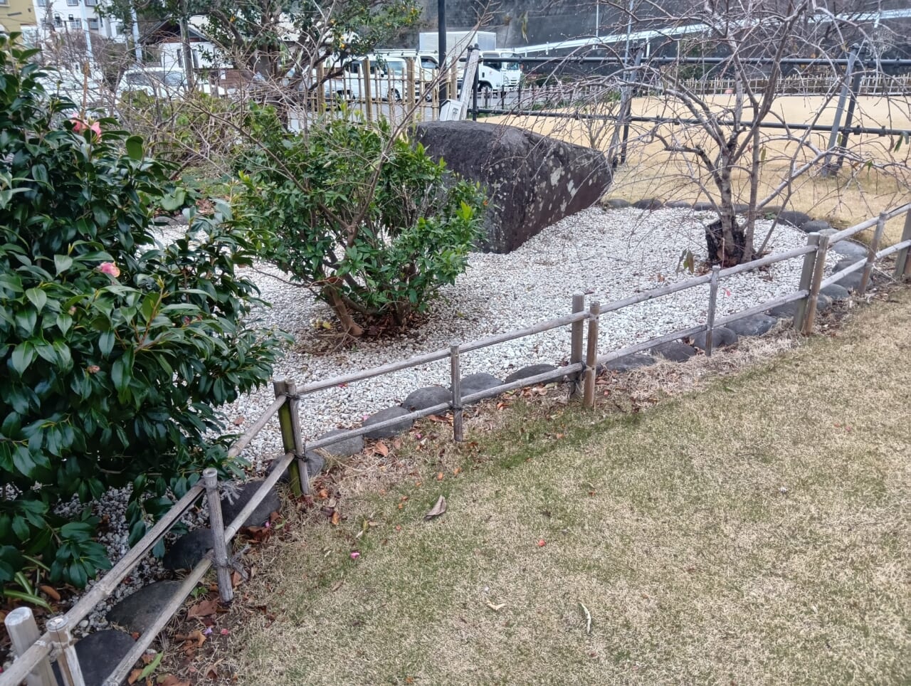 AQUOS wish5で撮影