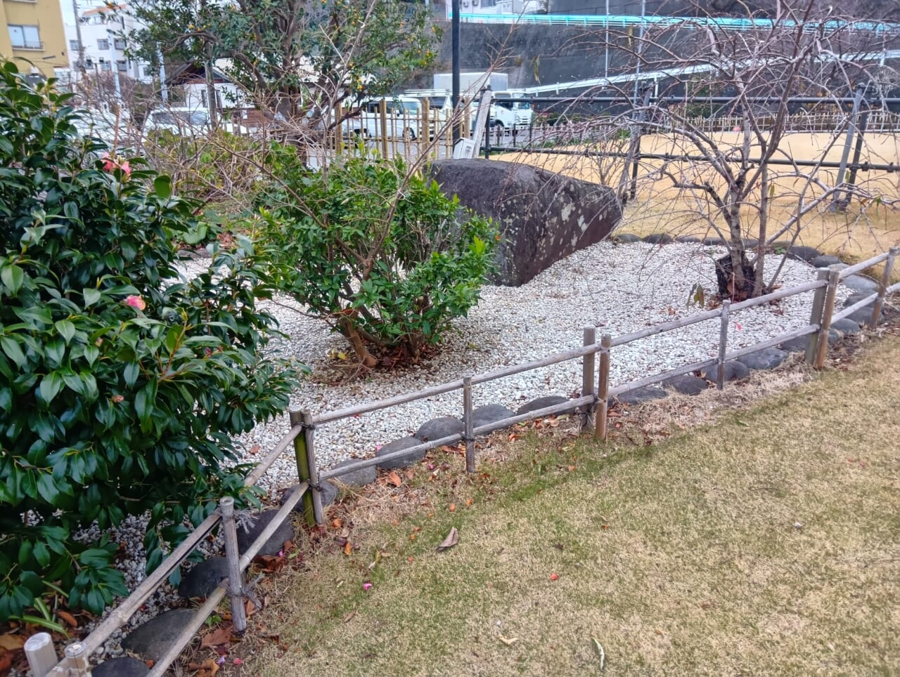 AQUOS wish5で撮影