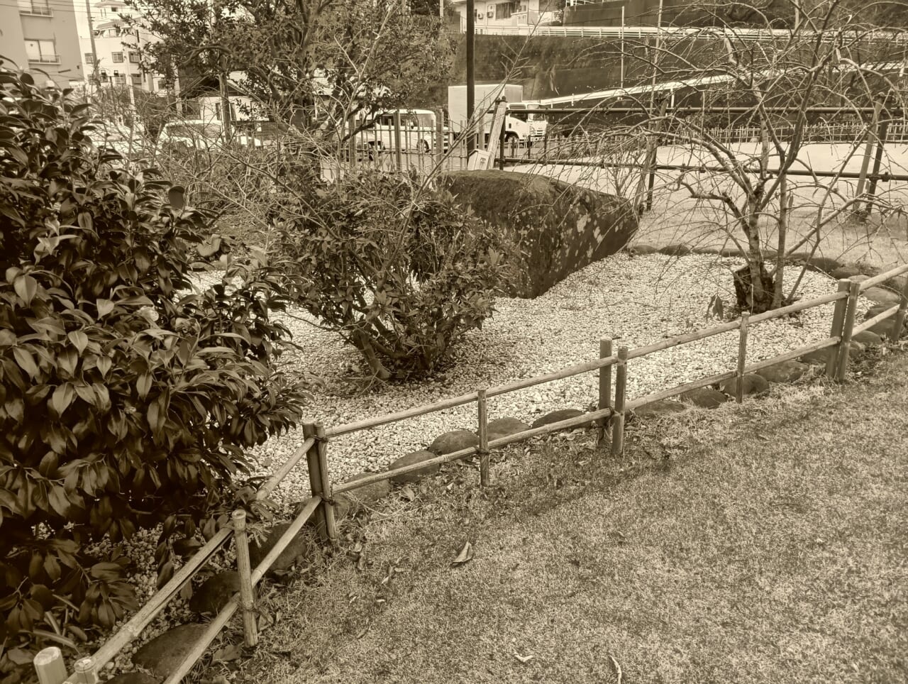 AQUOS wish5で撮影