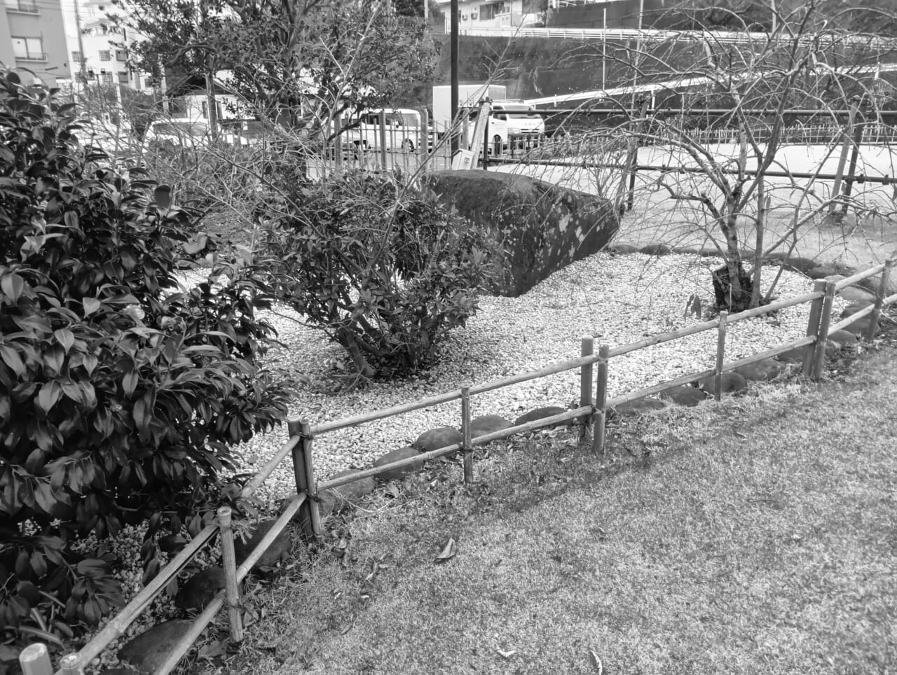 AQUOS wish5で撮影