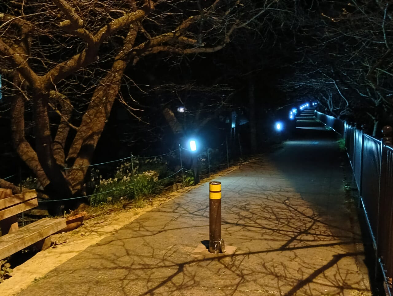 AQUOS wish5で撮影