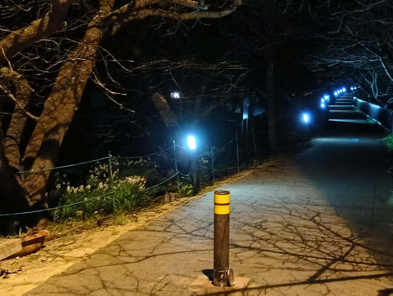 AQUOS wish5で撮影