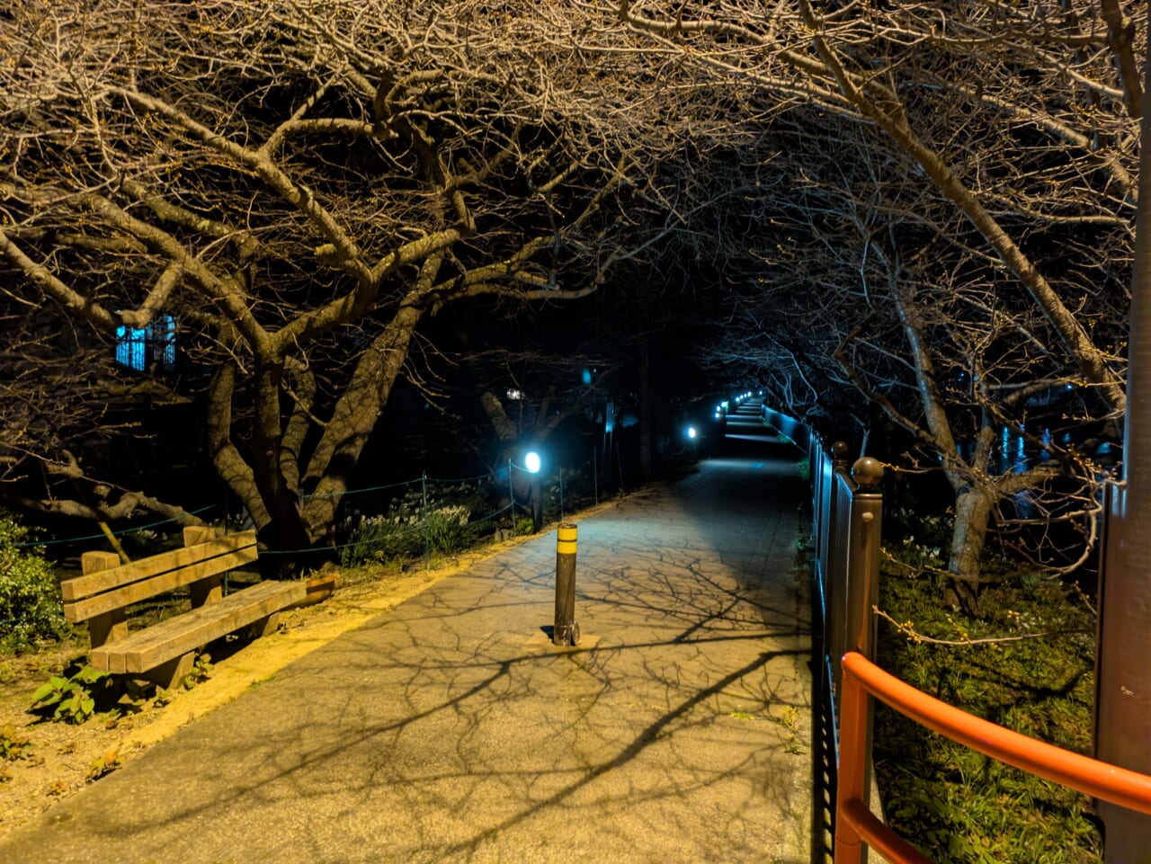 Google Pixel 8aで撮影