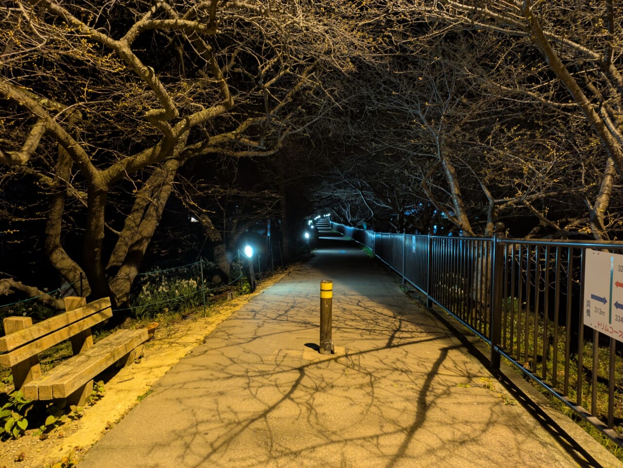 Google Pixel 8aで撮影