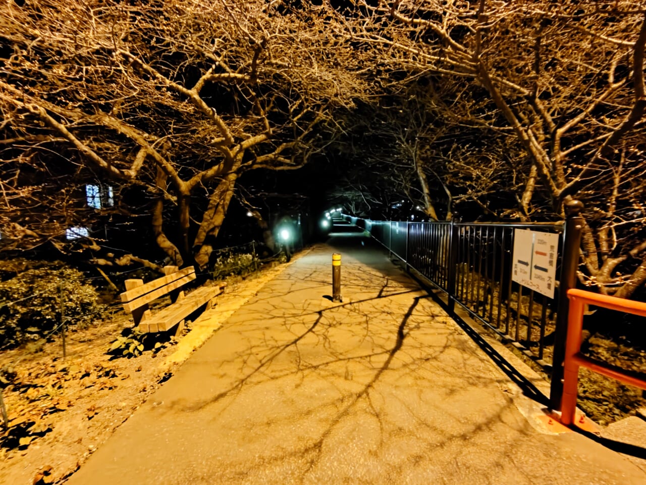 Xperia 10 VII夜間撮影