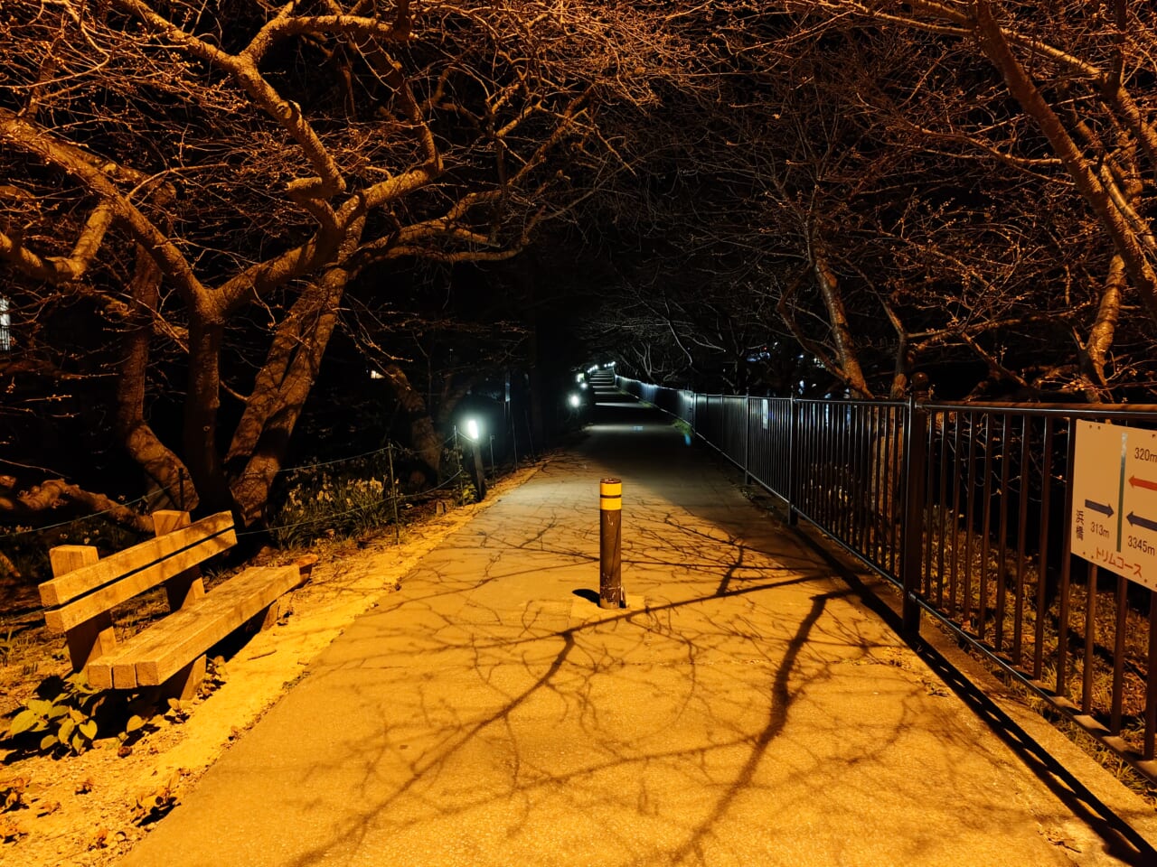 Xperia 10 VII夜間撮影