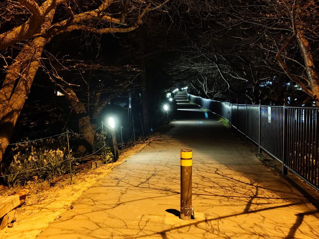 Xperia 10 VII夜間撮影