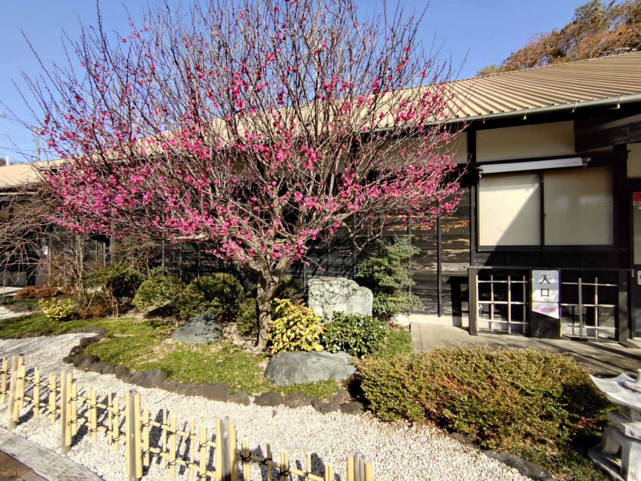 Xperia 10 VIIズーム写真