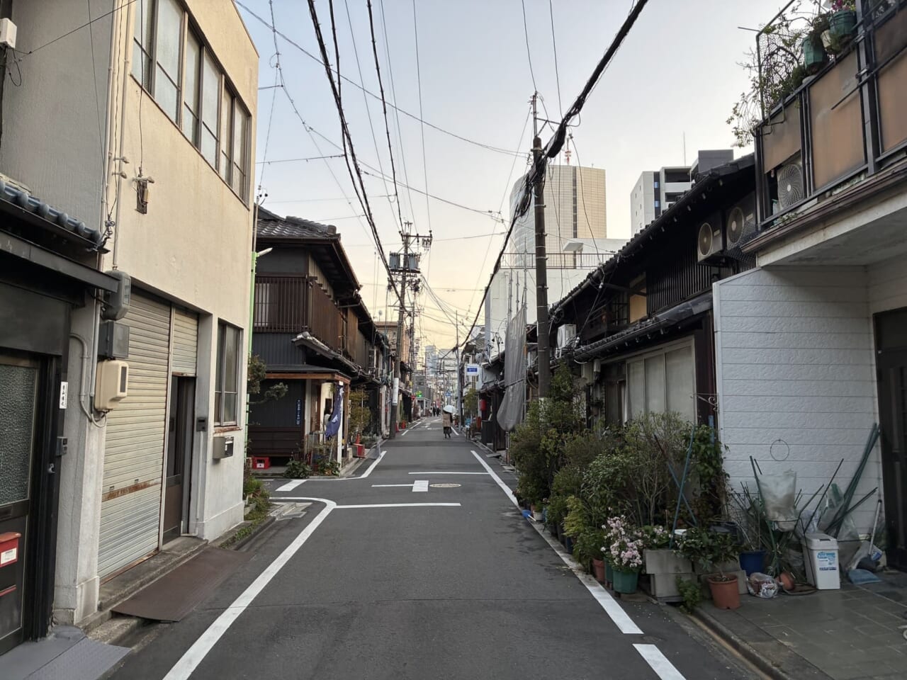 iPhone17eで撮影した写真