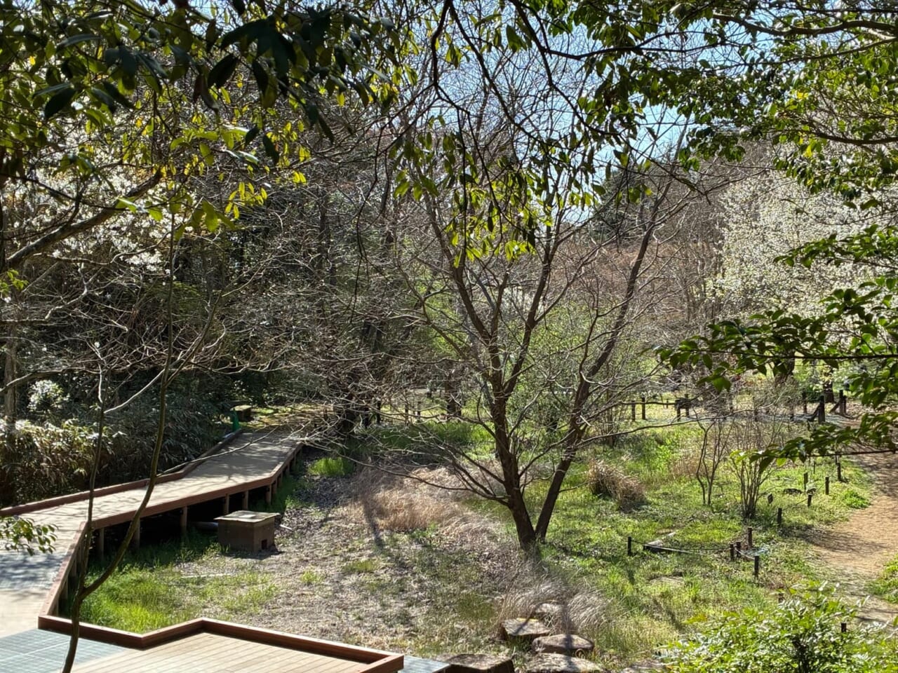 iPhone17eで撮影した写真