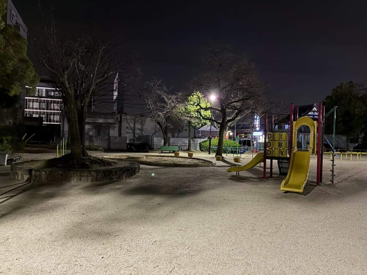 iPhone17eで撮影した写真