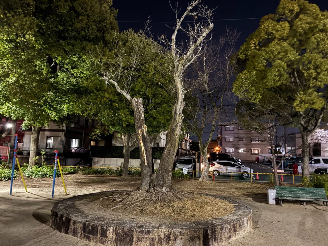 iPhone17eで撮影した写真