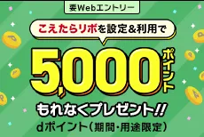こえたらリボ設定＆ショッピング利用特典